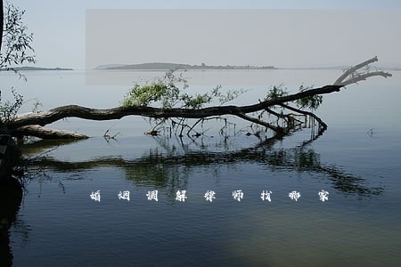 婚姻调解律师找哪家 婚姻调解律师找哪家