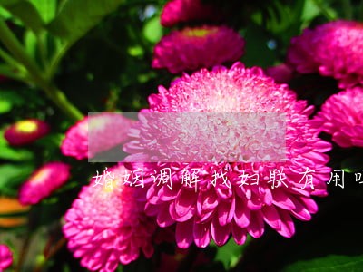 婚姻调解找妇联有用吗 婚姻调解找妇联有用吗