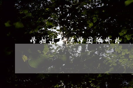婚姻谈判律师团队价格 婚姻谈判律师团队价格