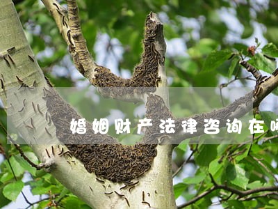 婚姻财产法律咨询在哪里 婚姻财产法律咨询在哪里