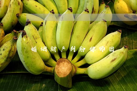 婚姻财产纠纷律师团 婚姻财产纠纷律师团