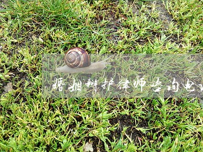 婚姻辩护律师咨询电话 婚姻辩护律师咨询电话