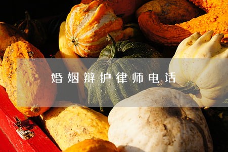 婚姻辩护律师电话 婚姻辩护律师电话