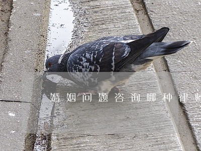 婚姻问题咨询哪种律师 婚姻问题咨询哪种律师