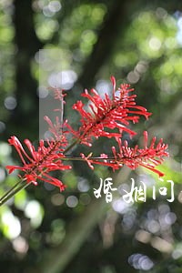 婚姻问题法律咨询热线 婚姻问题法律咨询热线