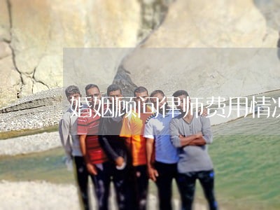 婚姻顾问律师费用情况