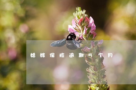 婚嫁保险逾期5个月