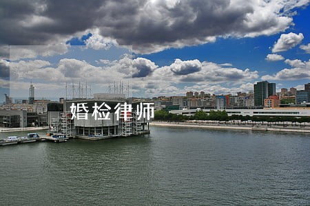 婚检律师