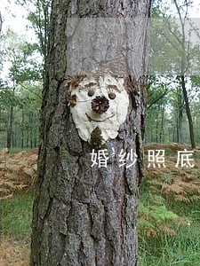 婚纱照底片不送违法吗 婚纱照底片不送违法吗