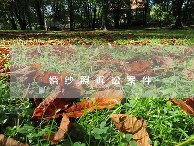 婚纱照诉讼案件