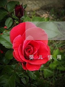 婴儿信用卡逾期会影响征信吗 婴儿信用卡逾期会影响征信吗