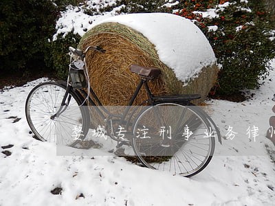 婺城专注刑事业务律师