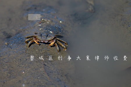 婺城区刑事大案律师收费标准 婺城区刑事大案律师收费标准