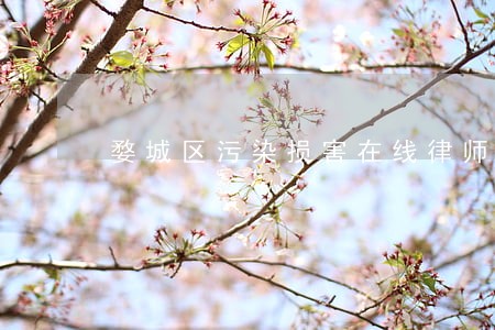 婺城区污染损害在线律师