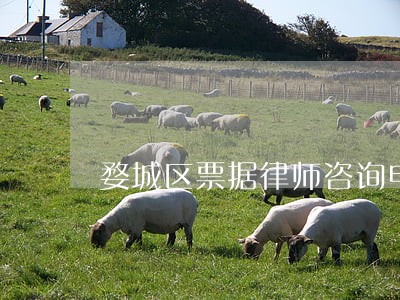 婺城区票据律师咨询电话 婺城区票据律师咨询电话