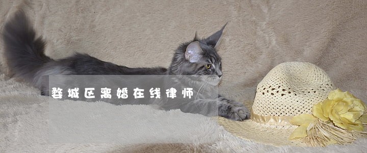 婺城区离婚在线律师 婺城区离婚在线律师