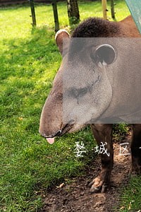 婺城区调薪纠纷律师推荐 婺城区调薪纠纷律师推荐