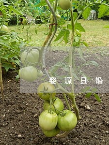婺源县婚姻继承律师咨询