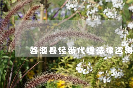婺源县经销代理法律咨询热线 婺源县经销代理法律咨询热线