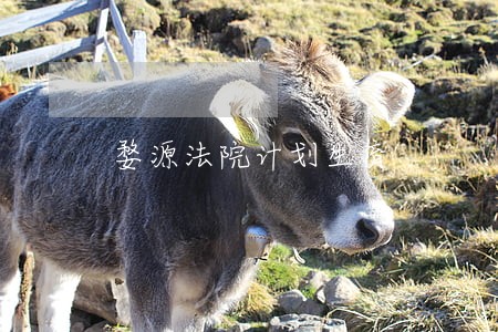 婺源法院计划生育 婺源法院计划生育