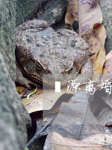 婺源离婚律师事务所 婺源离婚律师事务所