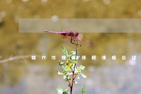 媒介伦理与法规课程总结 媒介伦理与法规课程总结