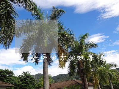 媒体债务债权案律师联系方式 媒体债务债权案律师联系方式