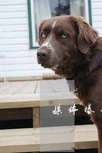 媒体曝停车场价格违法情节 媒体曝停车场价格违法情节