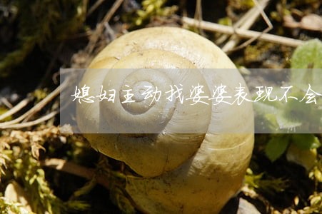 媳妇主动找婆婆表现不会离婚