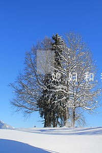 媳妇和我网贷都逾期了 媳妇和我网贷都逾期了
