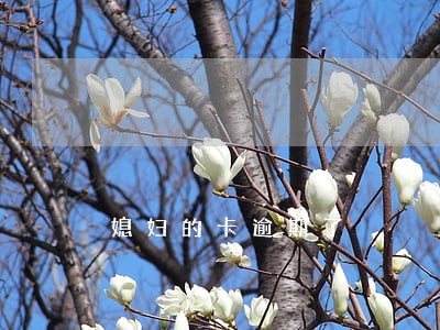 媳妇的卡逾期了