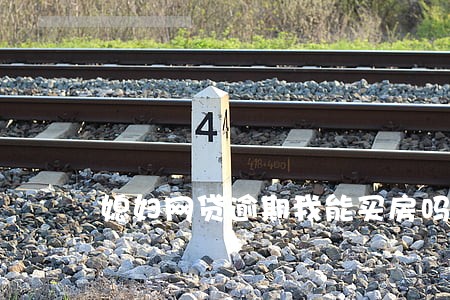 媳妇网贷逾期我能买房吗 媳妇网贷逾期我能买房吗