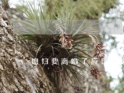 媳妇要离婚了应该怎么办 媳妇要离婚了应该怎么办