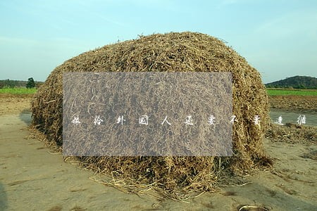 嫁给外国人还要不要遵循中国法律 嫁给外国人还要不要遵循中国法律
