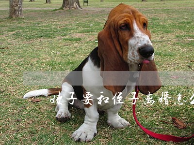 嫂子要和侄子离婚怎么办