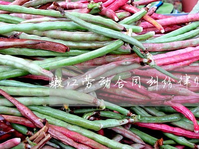 嫩江劳动合同纠纷律师 嫩江劳动合同纠纷律师