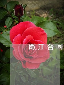 嫩江合同纠纷律师 嫩江合同纠纷律师