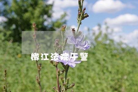 嫩江法院干警 嫩江法院干警