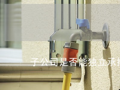 子公司是否能独立承担法律责任