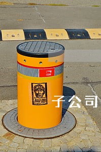 子公司注销相关法律条文 子公司注销相关法律条文