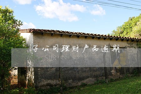 子公司理财产品逾期 子公司理财产品逾期