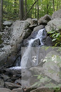 子公司需要法律顾问吗