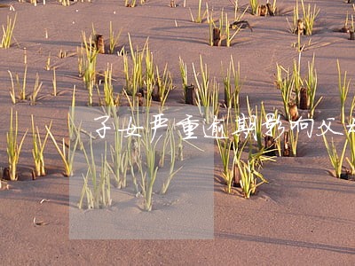 子女严重逾期影响父母贷款买车吗