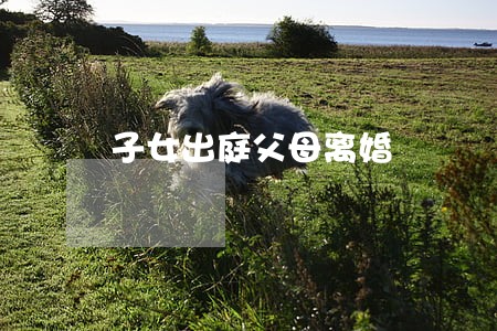 子女出庭父母离婚 子女出庭父母离婚