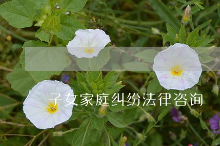 子女家庭纠纷法律咨询 子女家庭纠纷法律咨询