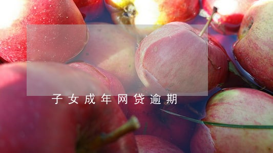 子女成年网贷逾期