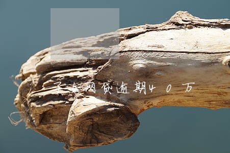 子女网贷逾期40万 子女网贷逾期40万