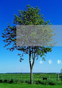 子女贷款逾期会影响父母贷款