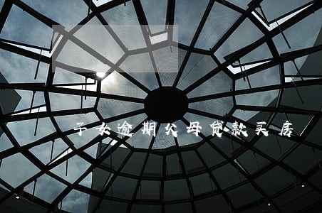 子女逾期父母贷款买房 子女逾期父母贷款买房