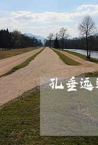 孔垂远违纪违法 孔垂远违纪违法